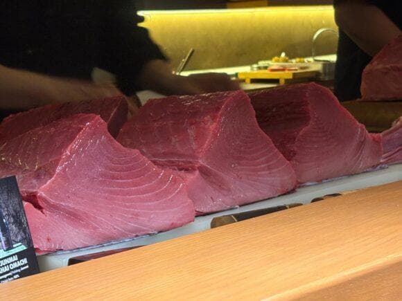 MAGURO Studio — photo 6