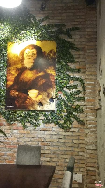 Monkey in Black — photo 2