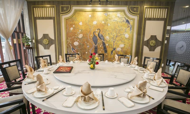 Shang Garden Dynasty — photo 4