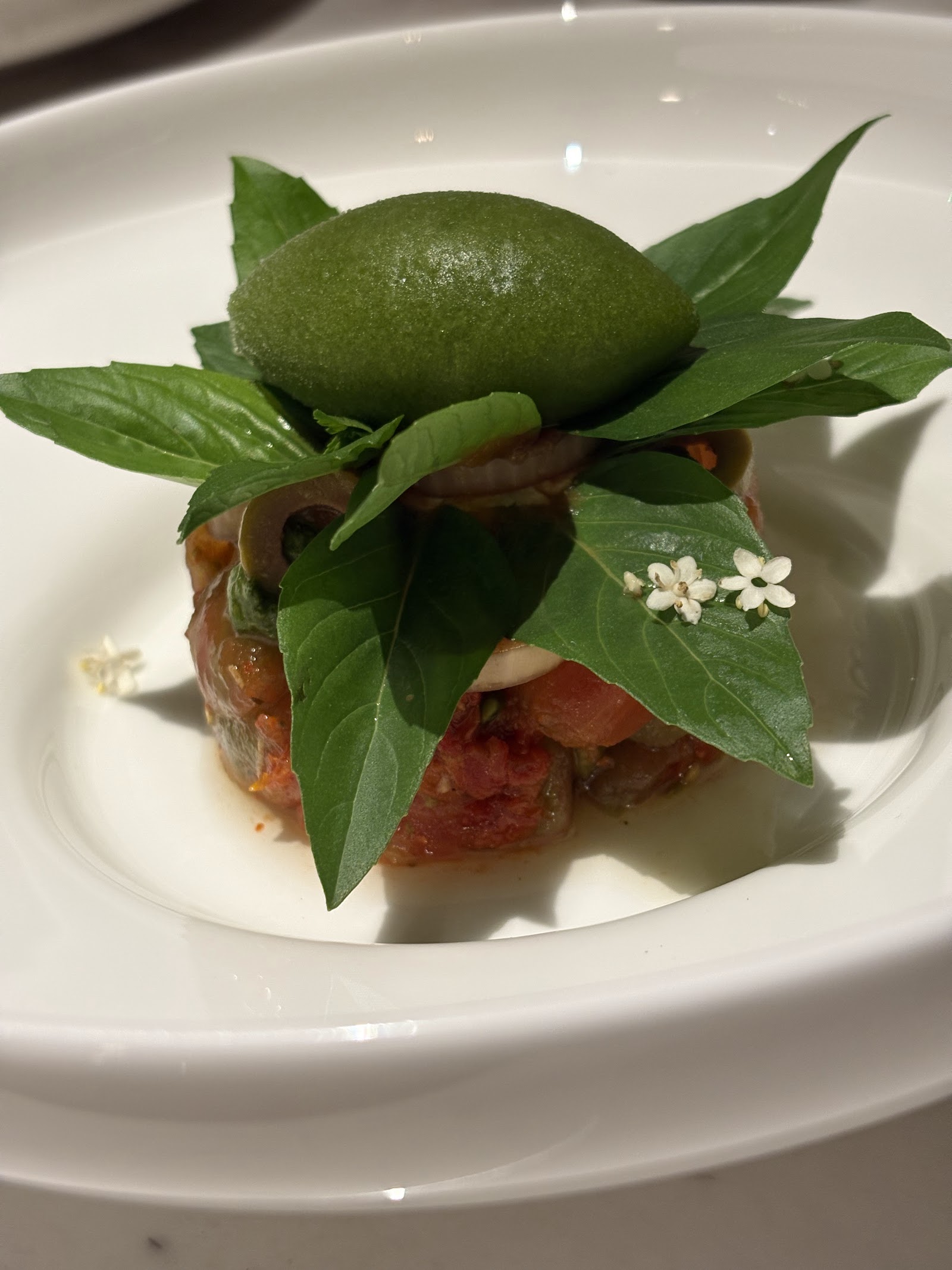 Cà chua, húng quế và sorbet
