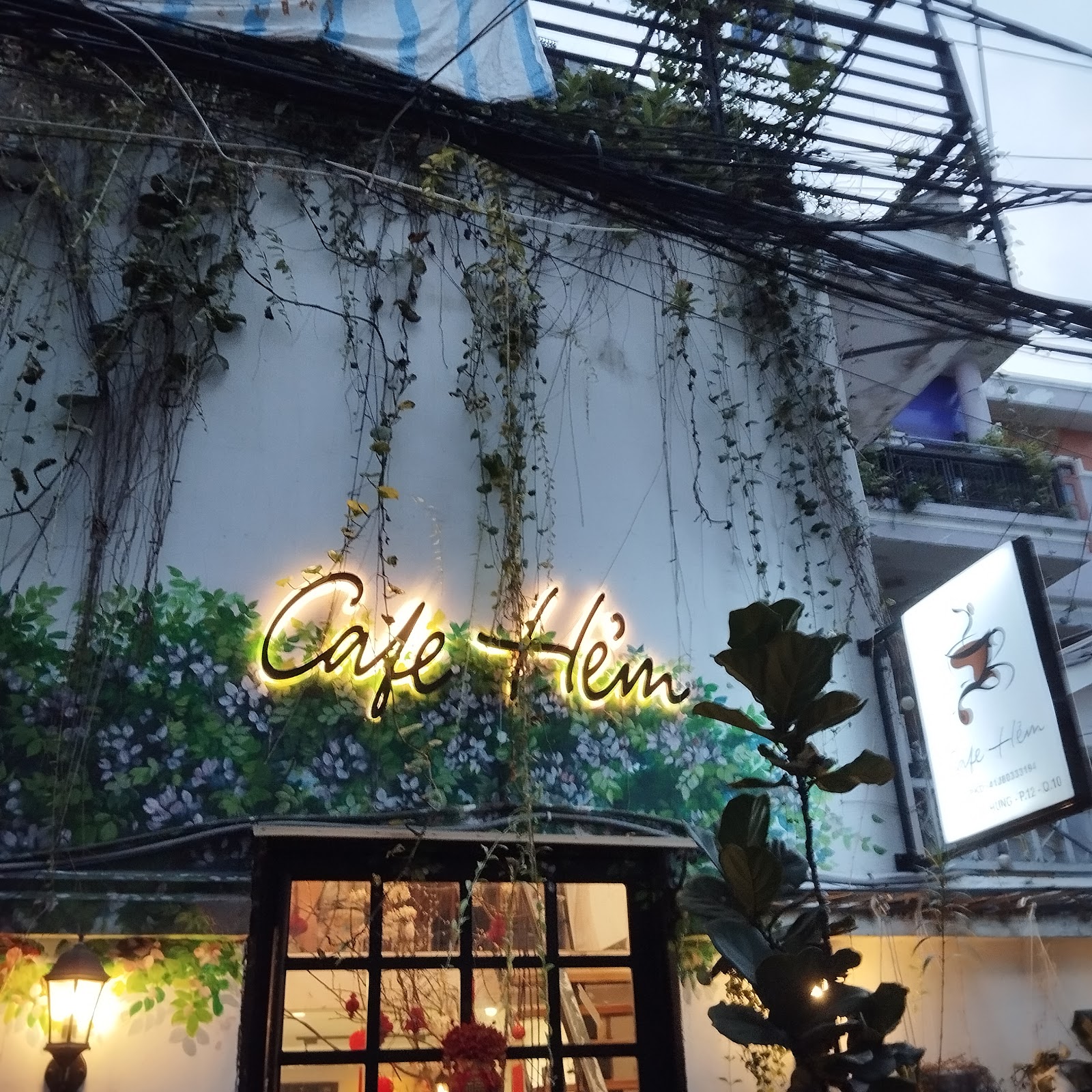 the neon Cafe Hẻm sign on the vine-covered wall at night