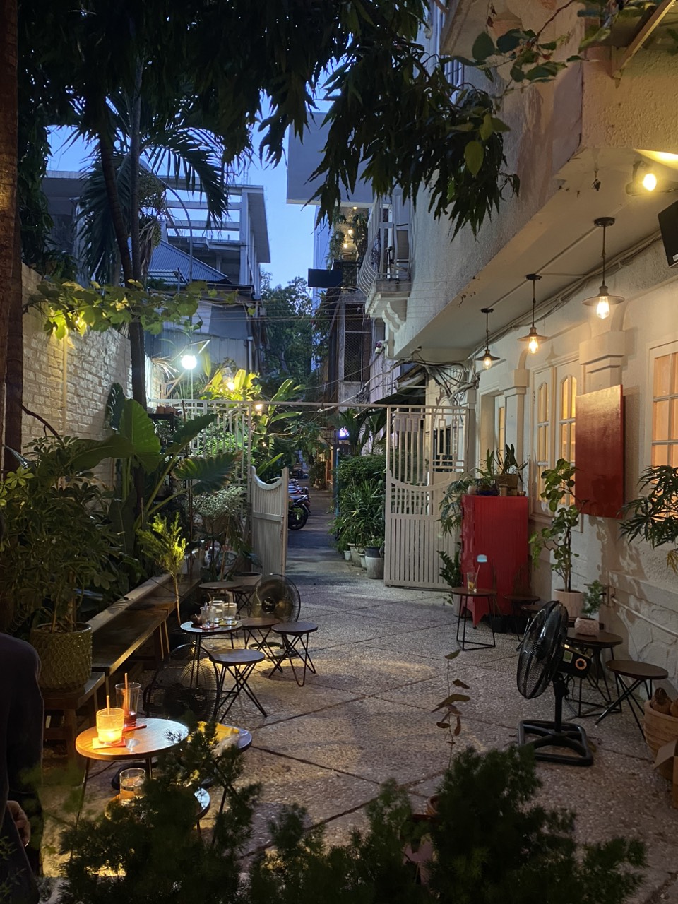Sân vườn lúc chập tối, đèn dây