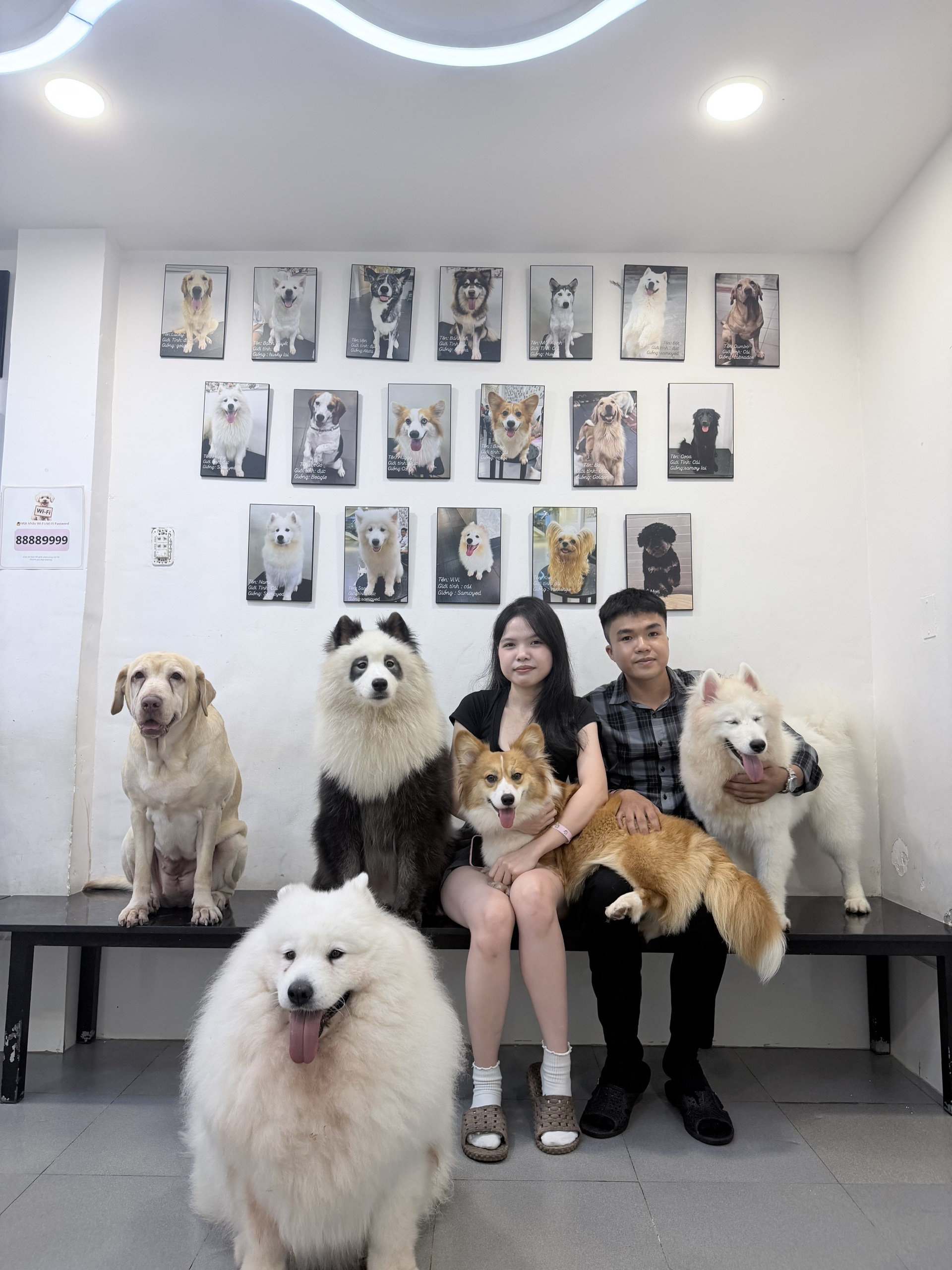 Bức tường 18 chân dung chó nhân viên thật