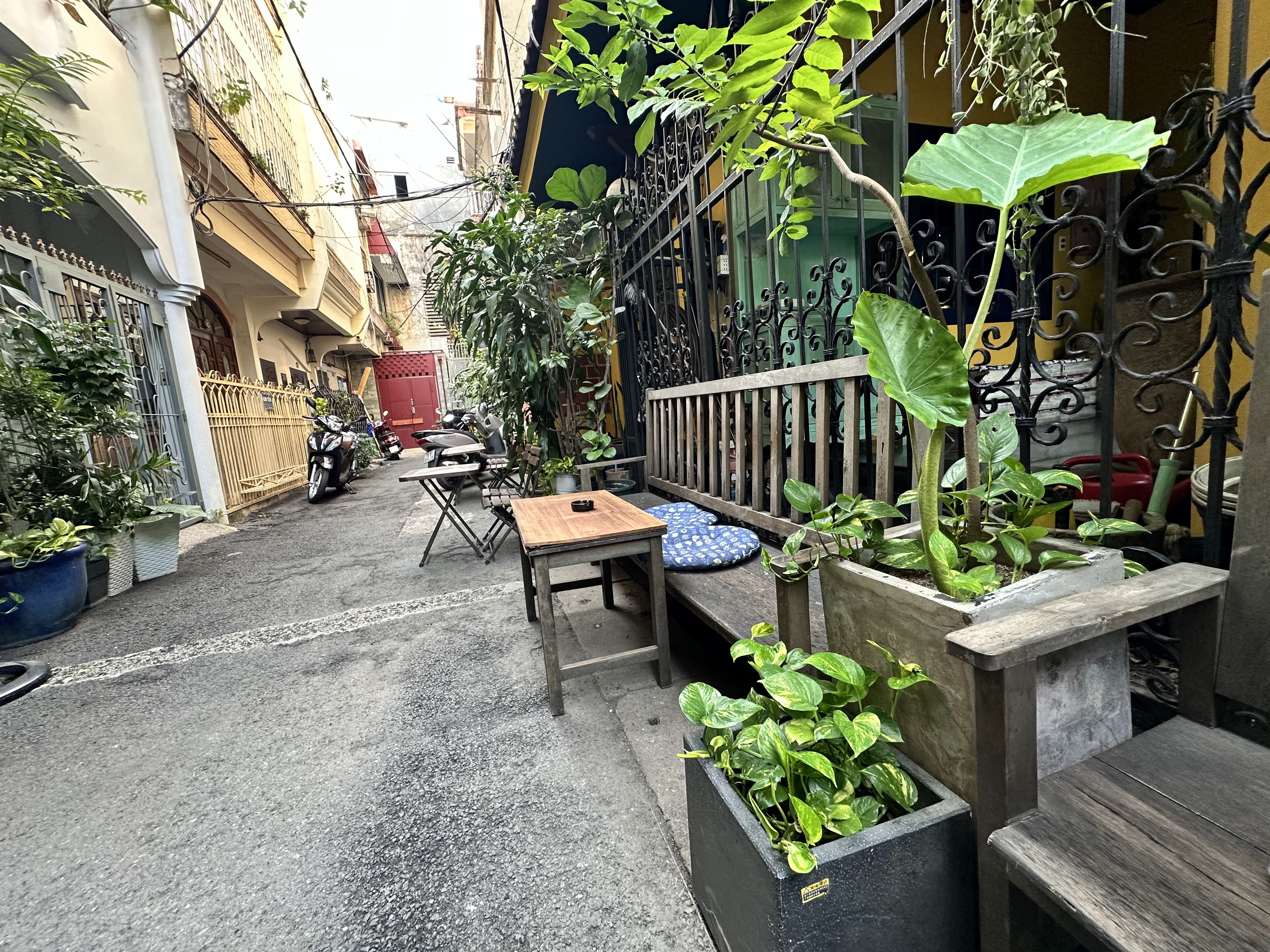 Low tables under the trees inside the alley