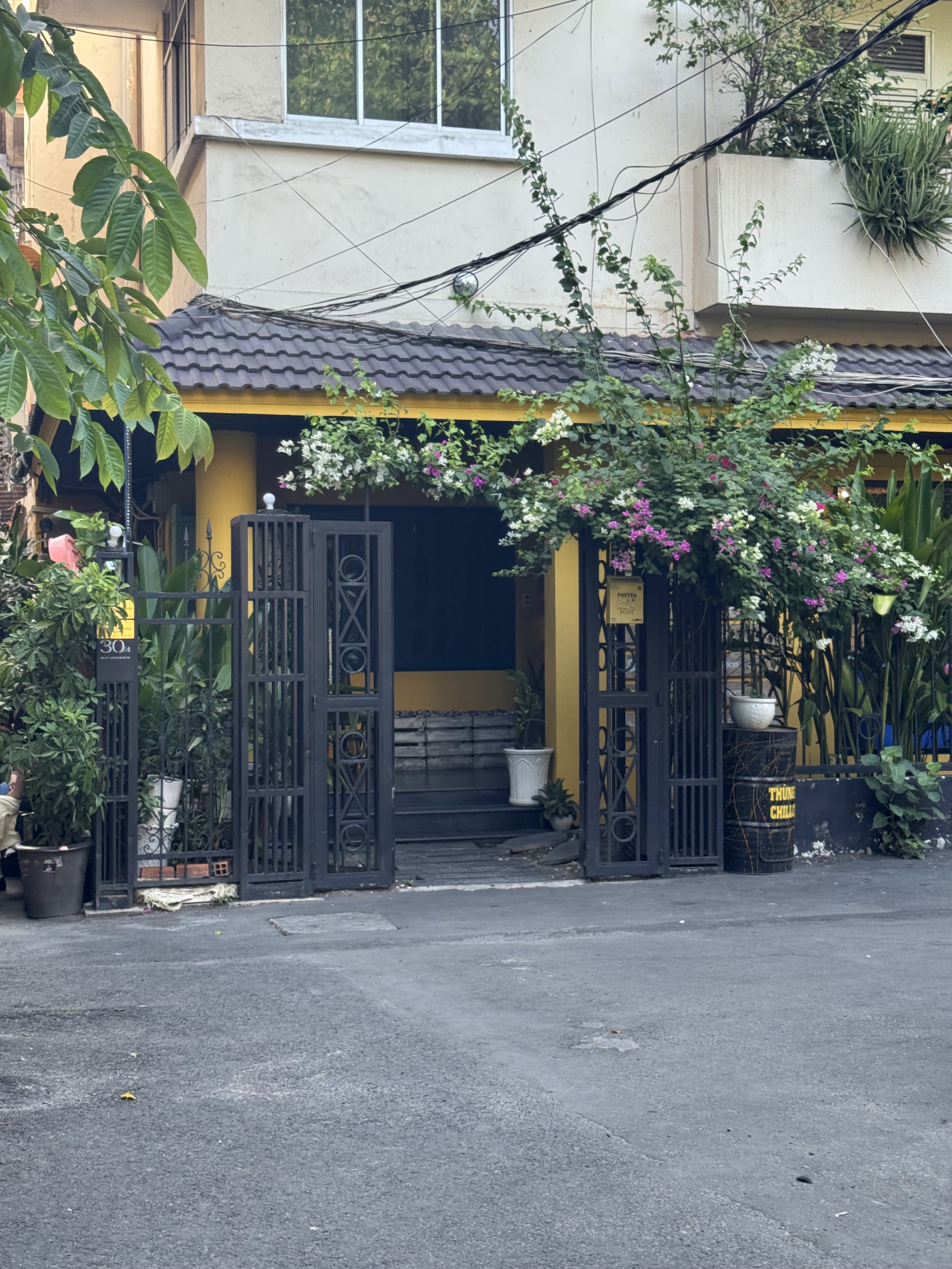 The wrought-iron gate with bougainvillea on the alley front