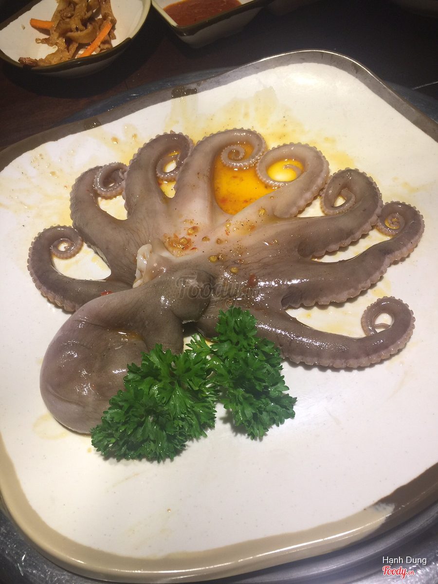 Giant octopus