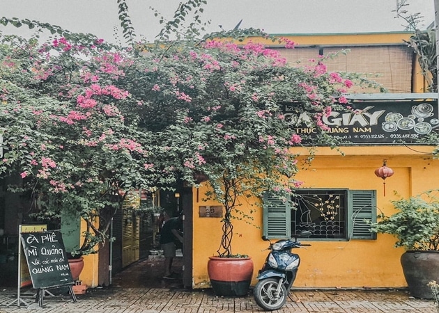 Mặt tiền Tiệm Cà Phê Hoa Giấy với giàn hoa giấy phủ tường vàng