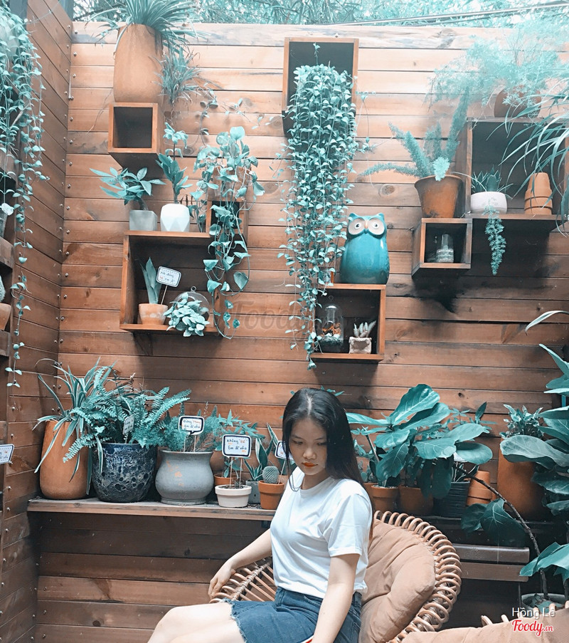 The wooden-wall check-in corner in the garden