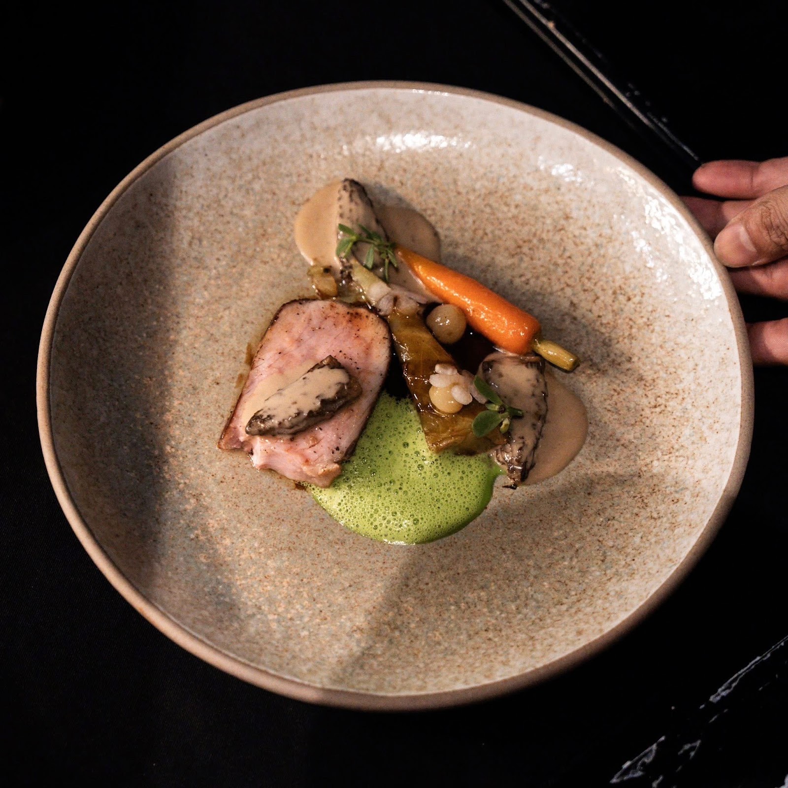 Overhead of a plated dish — pink-centered meat, green foam, baby carrot, mushrooms and herbs, a hand presenting the plate