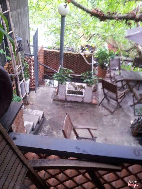 The rooftop garden: brick parapet, potted plants, iron chairs