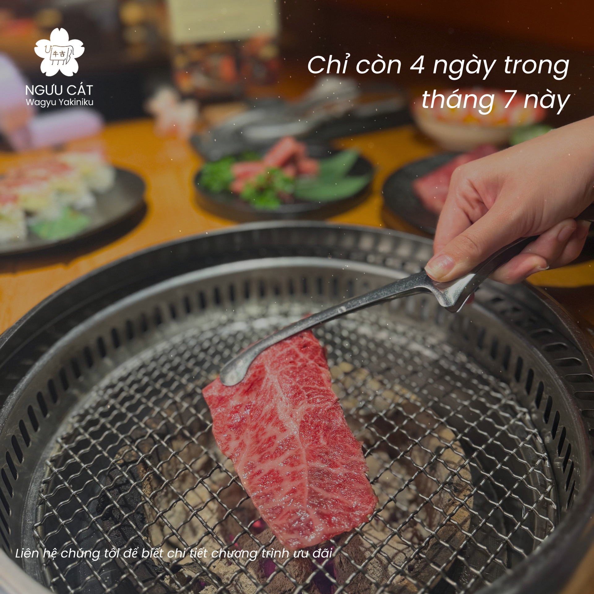 Wagyu vân mỡ trên vỉ nướng