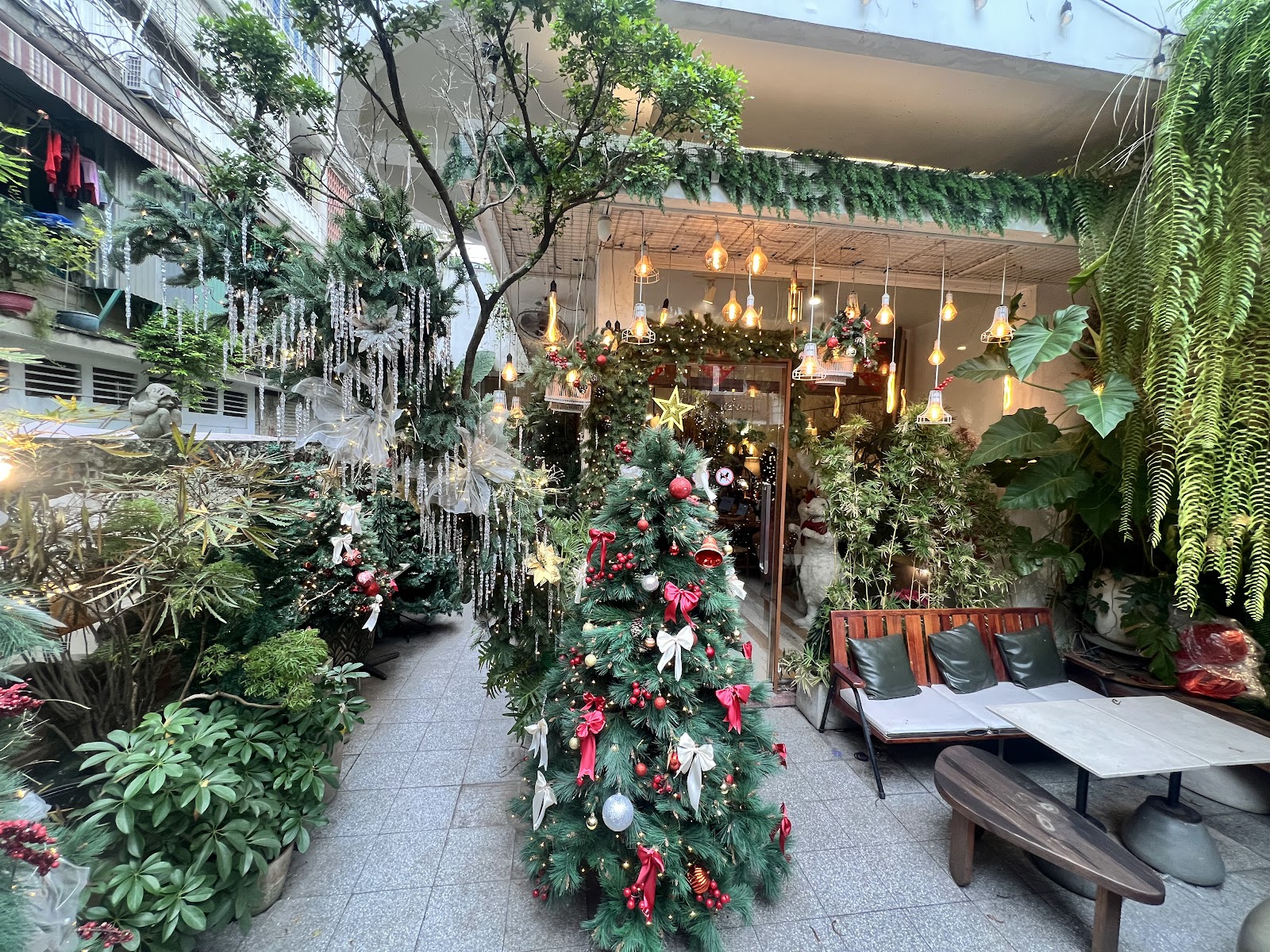 Oromia's garden with Edison bulbs