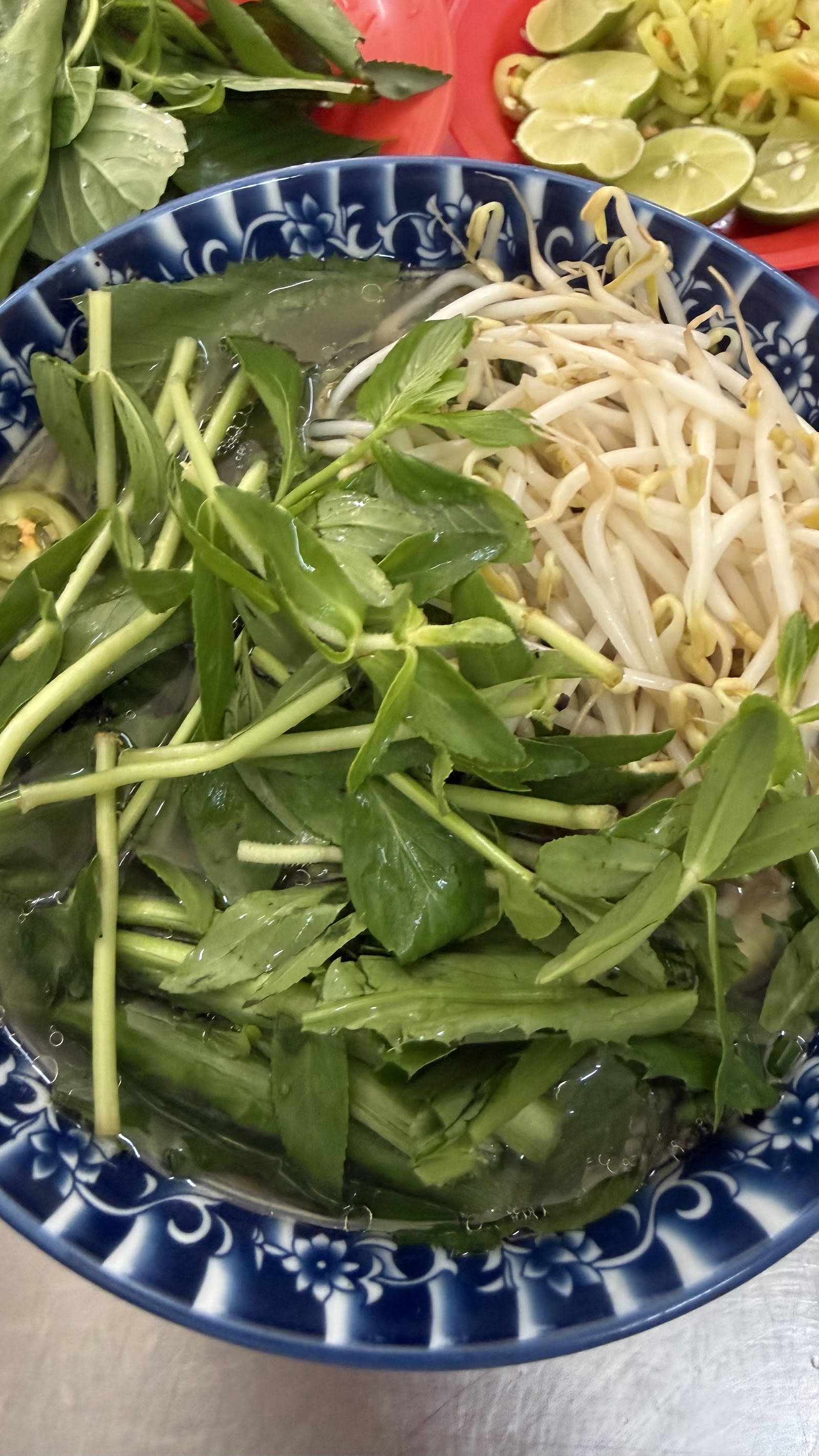Close-up of the bowl — dark amber broth, rare beef
