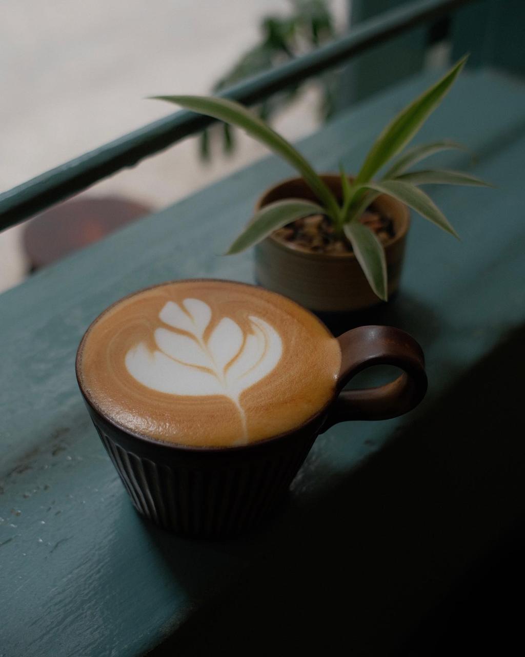 Ly latte đặt trên bậu cửa sổ xanh ngọc nhìn ra khoảng sân