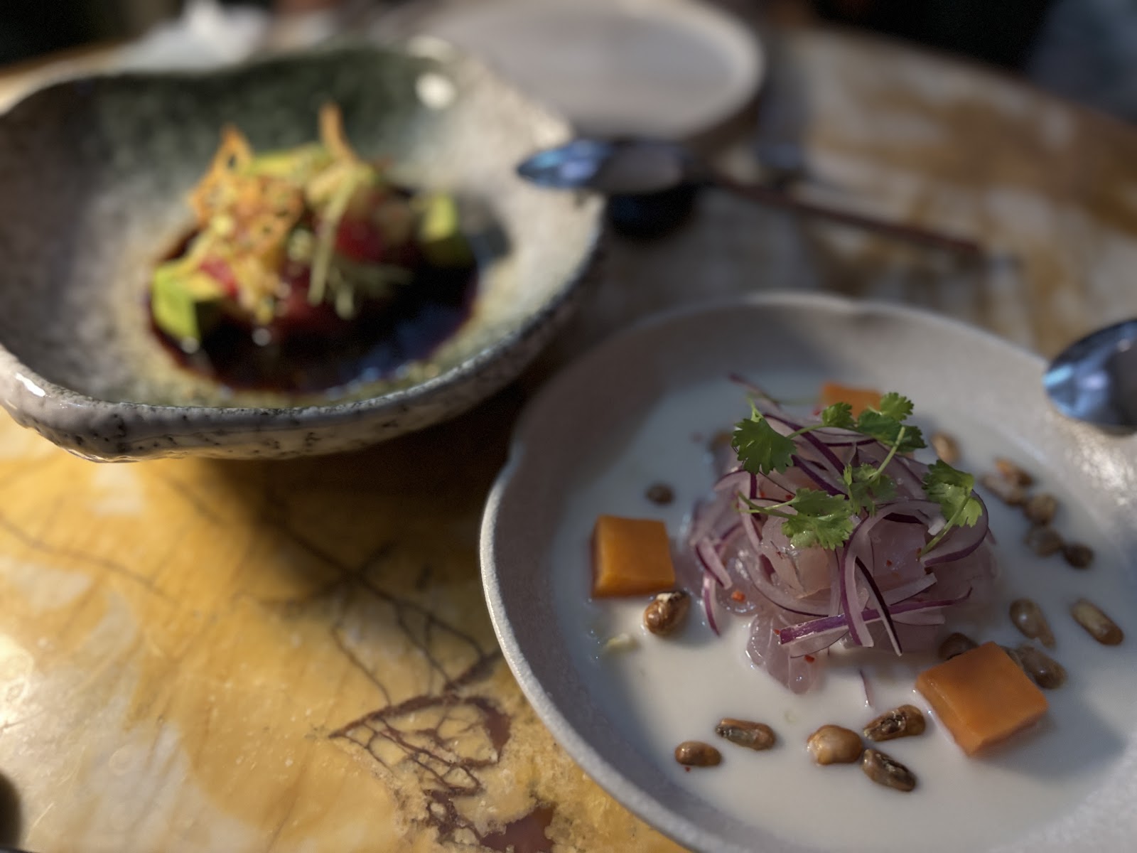 Ceviche trong leche de tigre